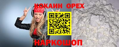 молекула духа Пенза