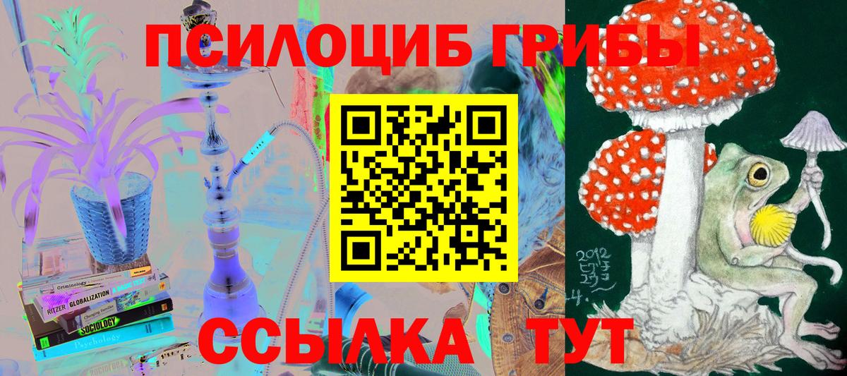 Псилоцибиновые грибы ЛСД Сегежа