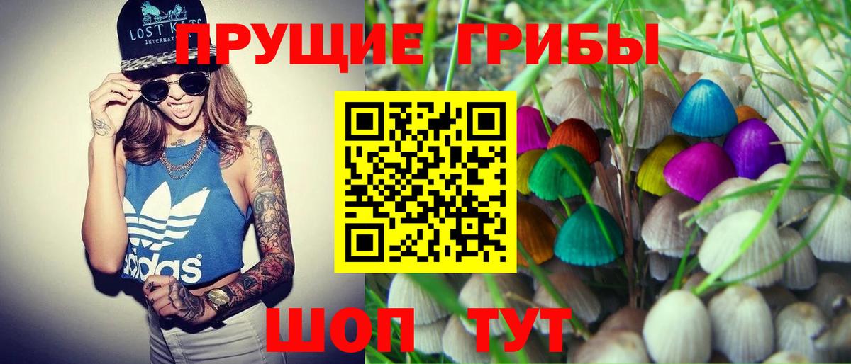 Псилоцибиновые грибы прущие грибы  Псилоцибиновые грибы мицелий  Сегежа  Вход с VPN 